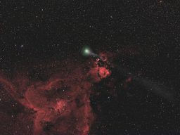 Comet C/2014 E2 Jacques and IC 1805